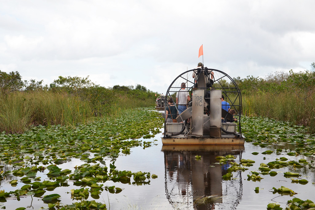 Everglades. - Design x Travel