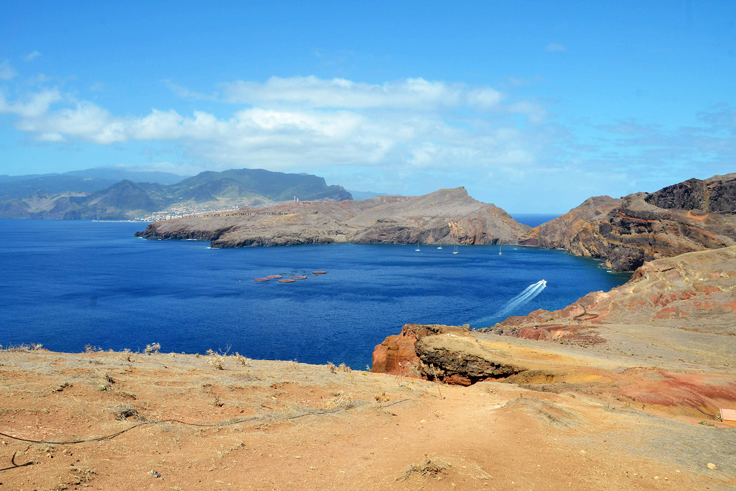 Best hikes & levada walks in Madeira - Design x Travel